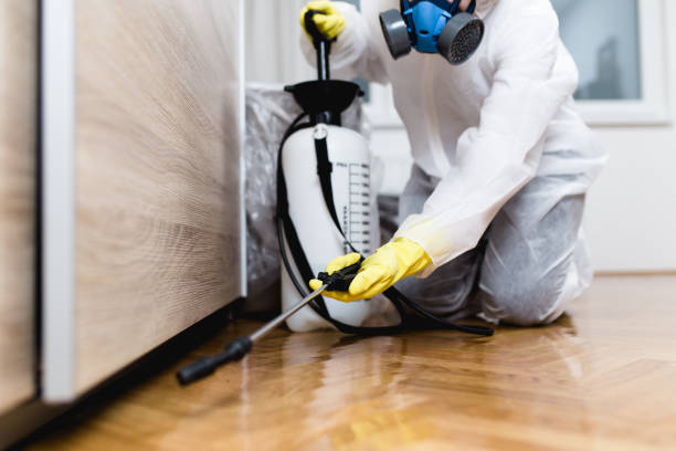Best Local Pest Control Services  in Bigfoot, TX