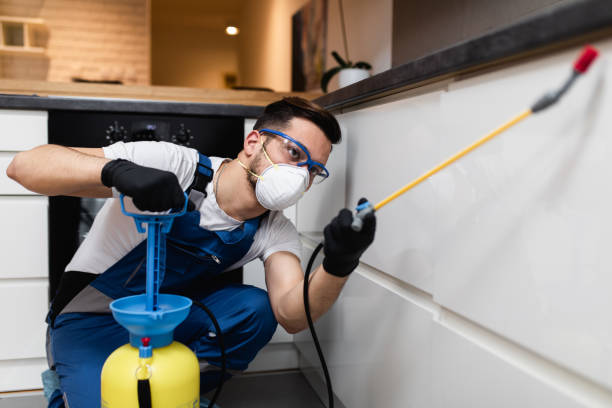 Best Ant Control Services  in Bigfoot, TX