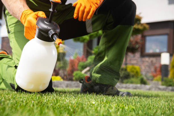 Best Best Pest Control Companies  in Bigfoot, TX