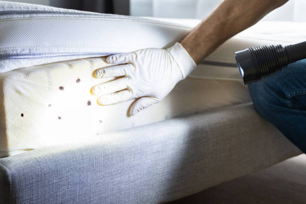 Best Commercial Pest Control Services  in Bigfoot, TX