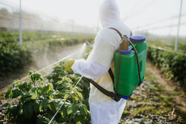 Best Pest Control for Homes  in Bigfoot, TX